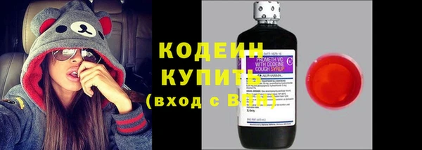 крисы Абаза