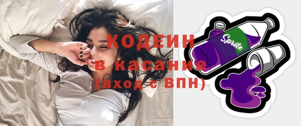 крисы Абаза