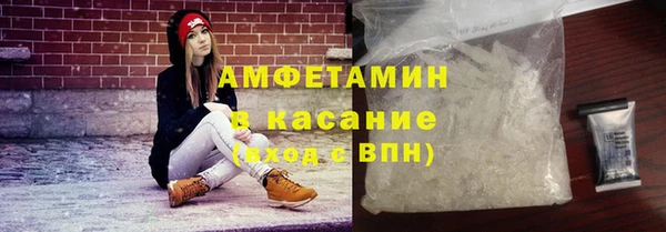 крисы Абаза