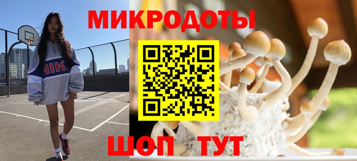 Галлюциногенные грибы ЛСД Советск